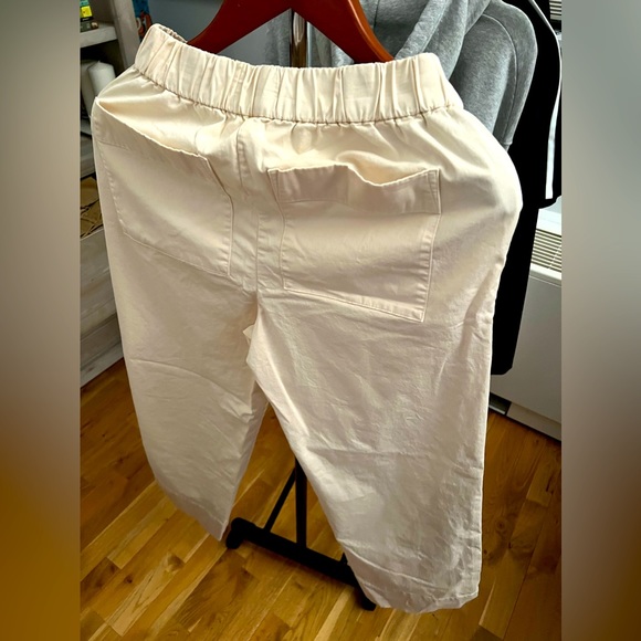Everlane “Easy Pant” size 6. Gently worn. Excellent condition - Picture 3 of 3